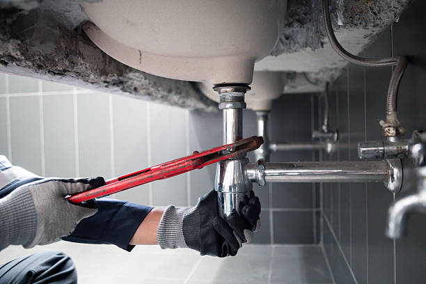 Trusted Garbage Disposal Repair service in Fox River Grove, IL - AAA Plumbing Heating